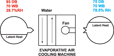 Evaporative Cooling Scientific Facts Image 1
