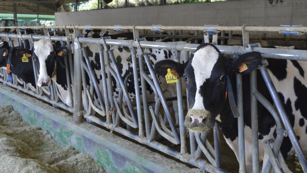 climatizzazione industriale